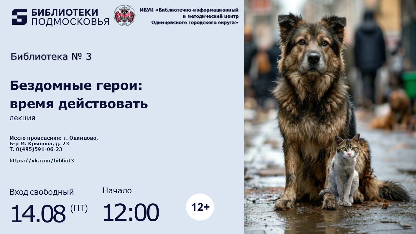 «Бездомные герои: время действовать»