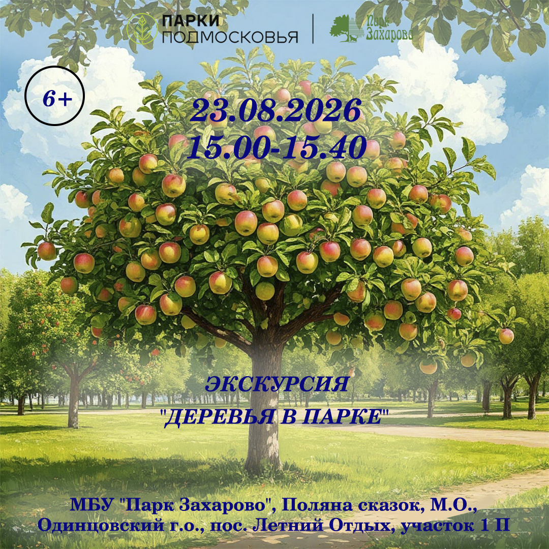 Экскурсия «Деревья в парке»
