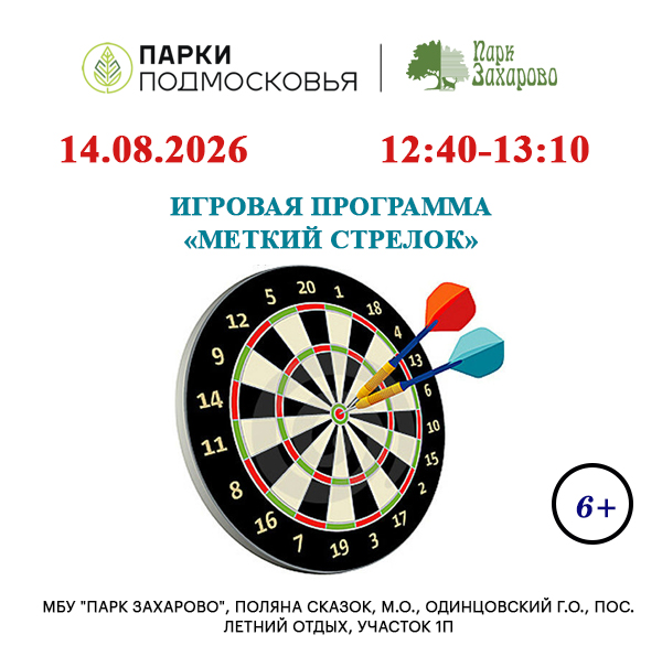 Игровая программа «Меткий стрелок»
