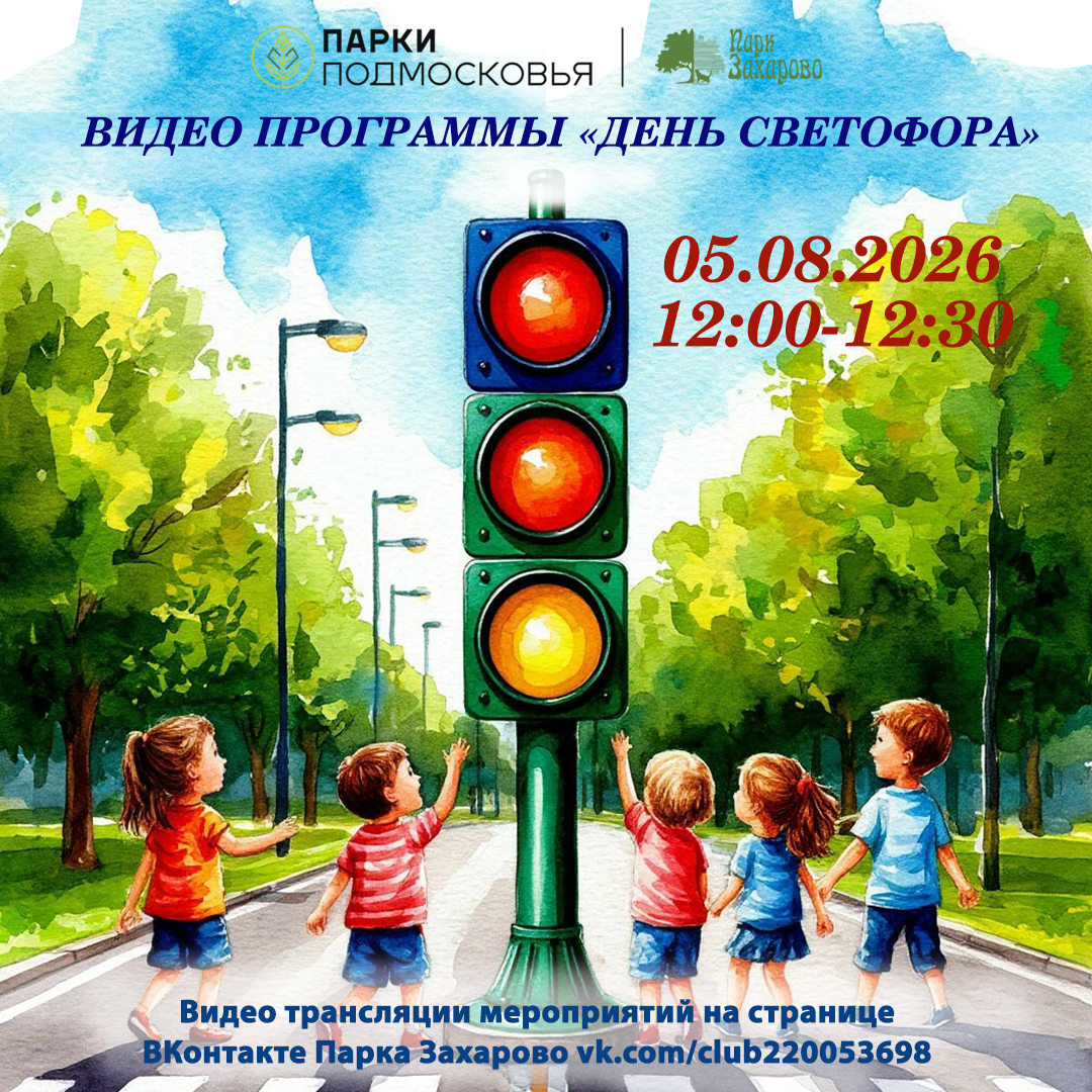 Видео программы «День светофора» (онлайн)