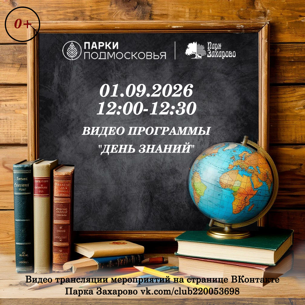 Видео программы