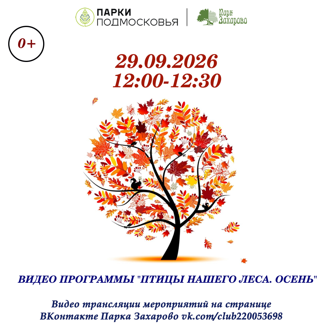 Видео программы