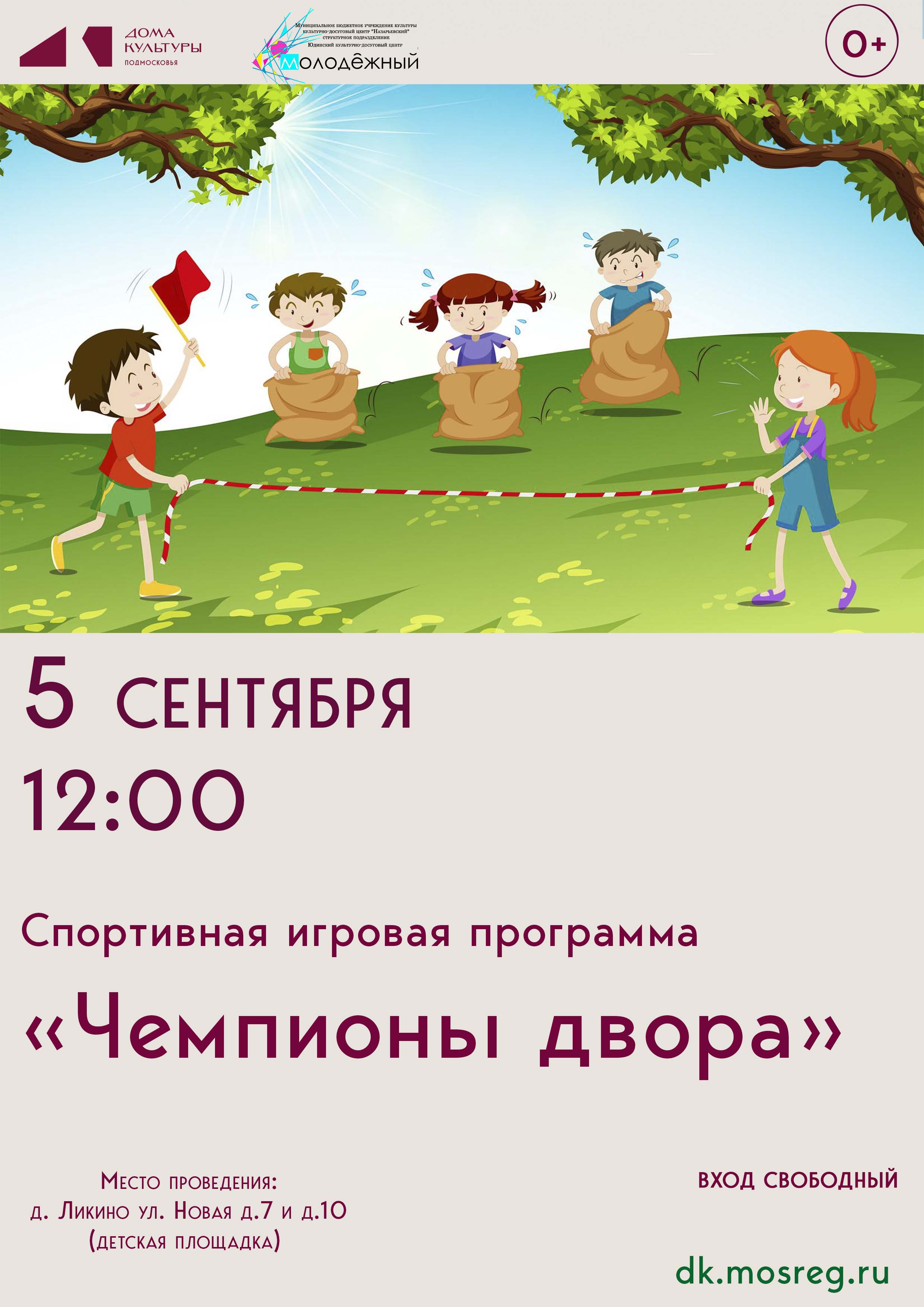 «Чемпионы двора»