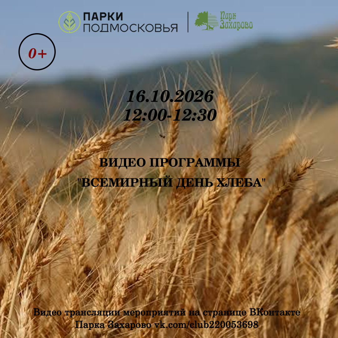 Видео программы