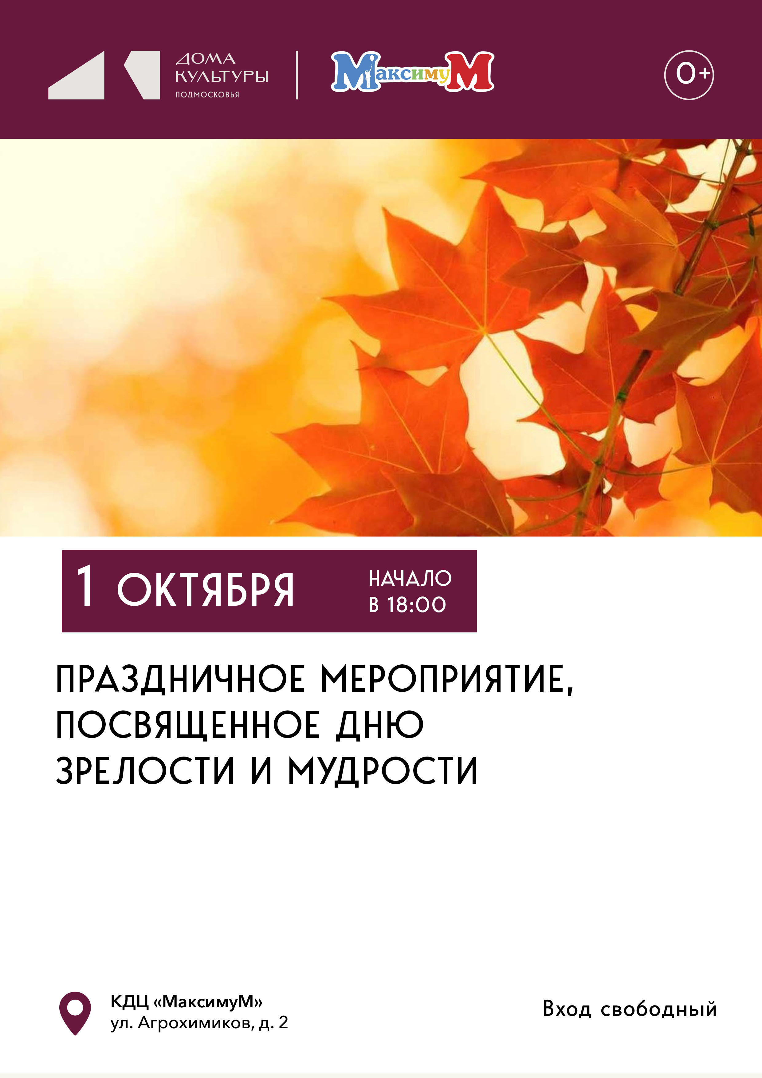 День зрелости и мудрости